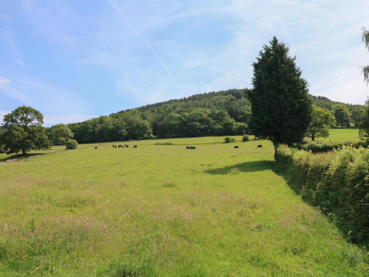 Lees Moor Cottage Matlock  Dış mekan fotoğraf